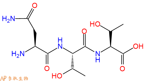 专肽生物产品三肽Asn-Thr-Thr