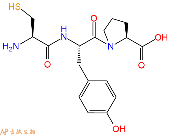 专肽生物产品三肽Cys-Tyr-Pro