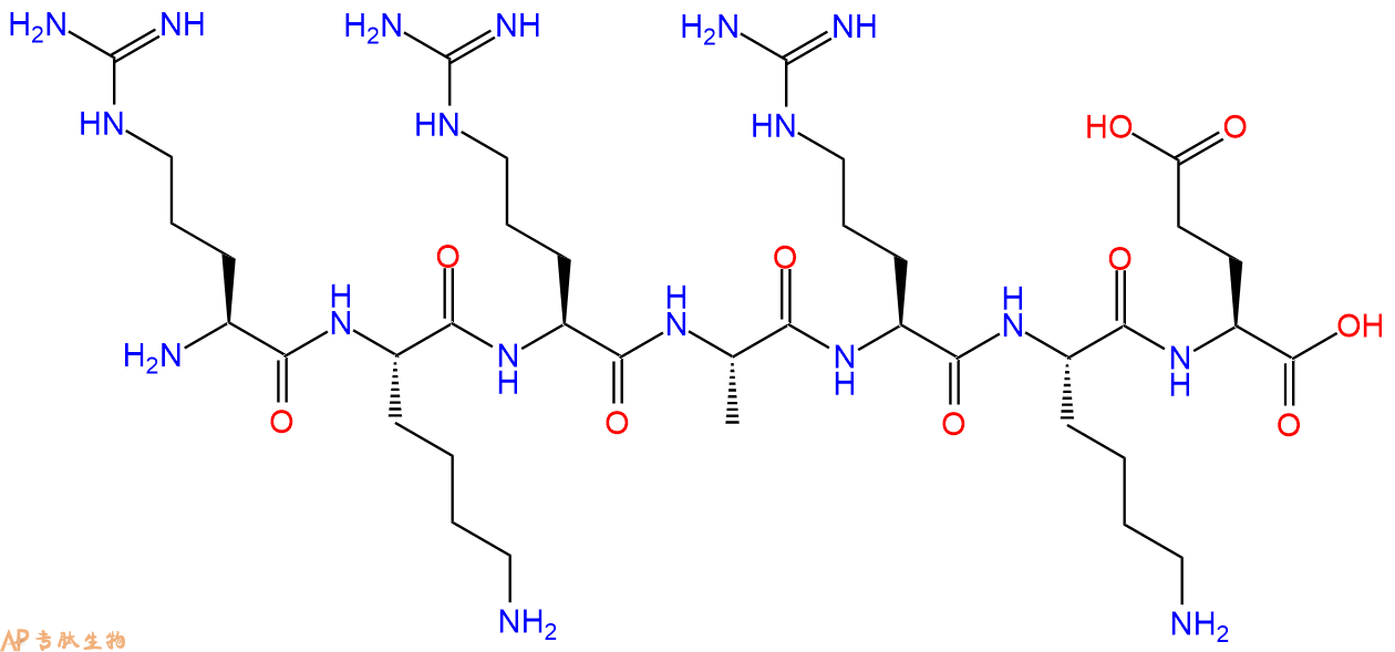 专肽生物产品cGMP依赖性蛋白激酶（PKG）抑制剂：cGMP Dependent Kinase Inhibitor Peptide82801-73-8