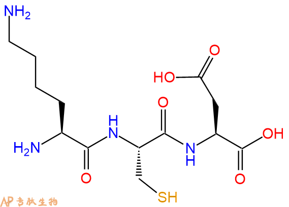 专肽生物产品三肽Lys-Cys-Asp