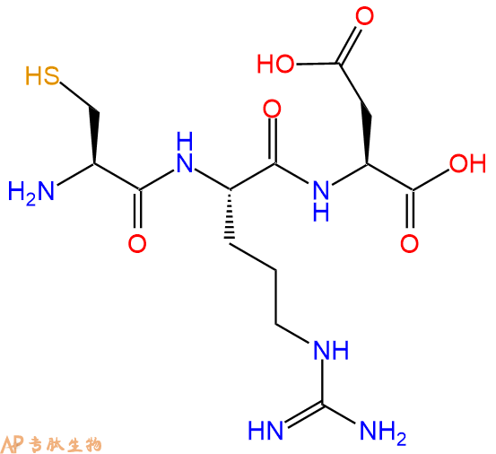 专肽生物产品三肽Cys-Arg-Asp