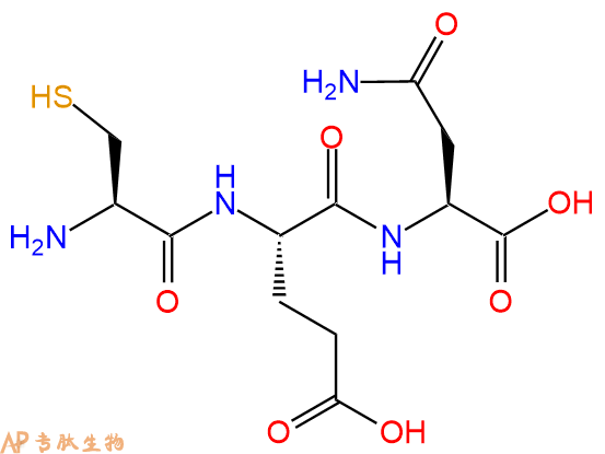 专肽生物产品三肽Cys-Glu-Asn