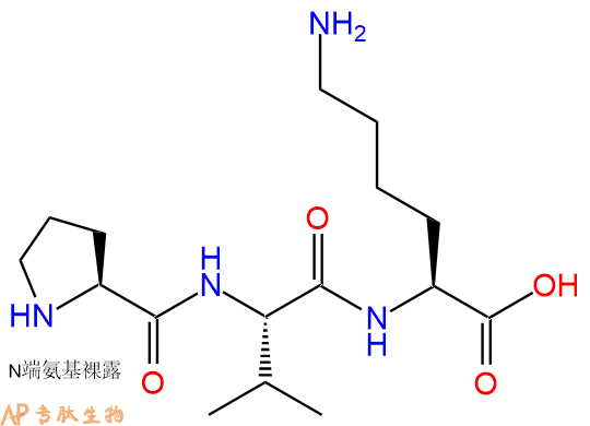 专肽生物产品三肽Pro-Val-Lys