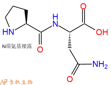 专肽生物产品H2N-Pro-Asn-COOH107856-82-6