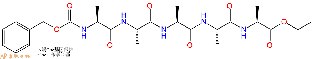 专肽生物产品五肽Cbz-(Ala)5-乙酯化5673-68-7