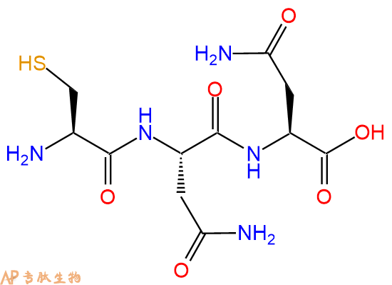 专肽生物产品三肽Cys-Asn-Asn