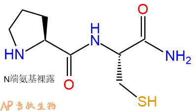 专肽生物产品二肽Pro-Cys-NH2
