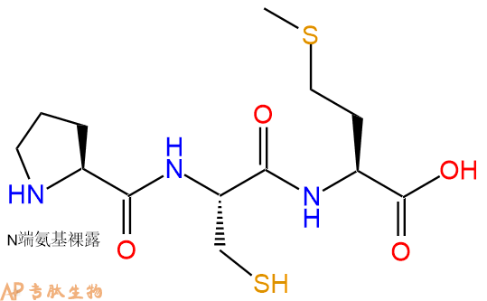 专肽生物产品三肽Pro-Cys-Met