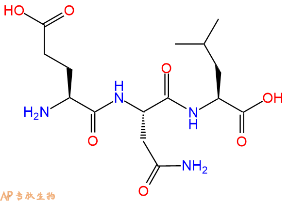 专肽生物产品三肽Glu-Asn-Leu