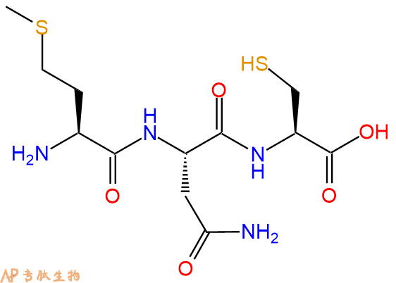 专肽生物产品三肽Met-Asn-Cys