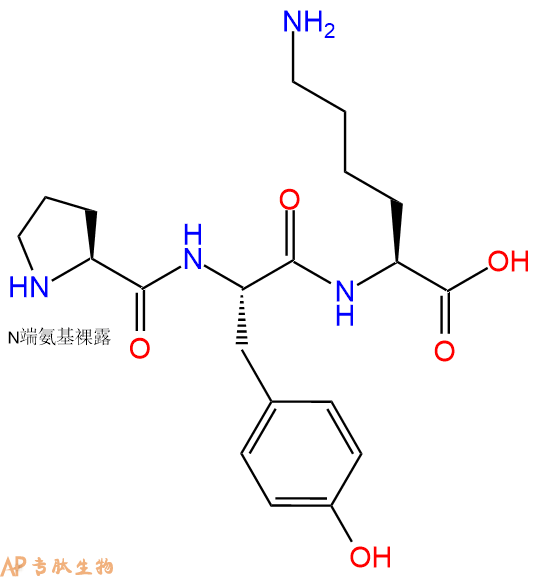 专肽生物产品三肽Pro-Tyr-Lys