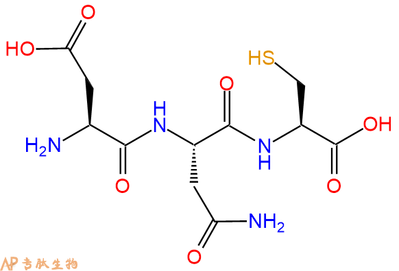 专肽生物产品三肽Asp-Asn-Cys