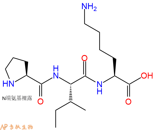 专肽生物产品三肽Pro-Ile-Lys