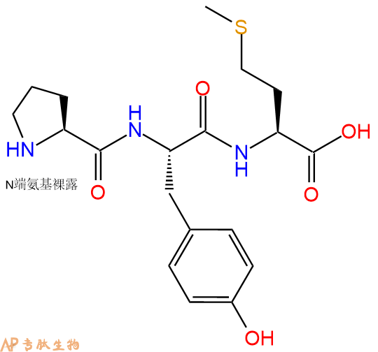 专肽生物产品三肽Pro-Tyr-Met