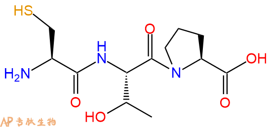 专肽生物产品三肽Cys-Thr-Pro