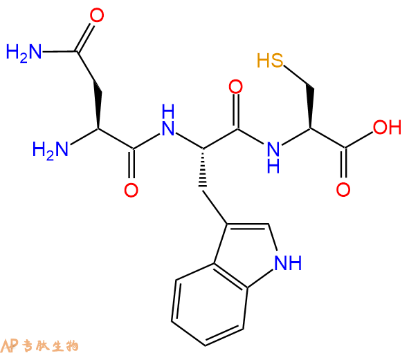 专肽生物产品三肽Asn-Trp-Cys