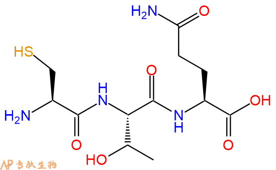 专肽生物产品三肽Cys-Thr-Gln