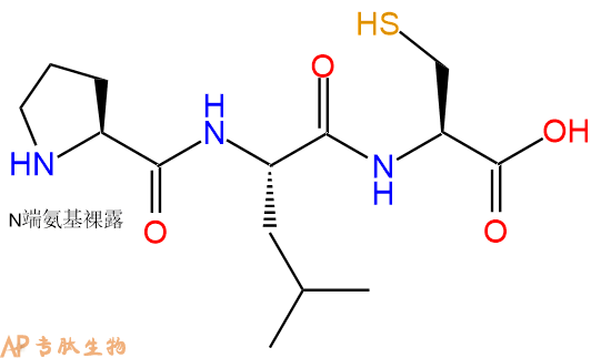 专肽生物产品三肽Pro-Leu-Cys