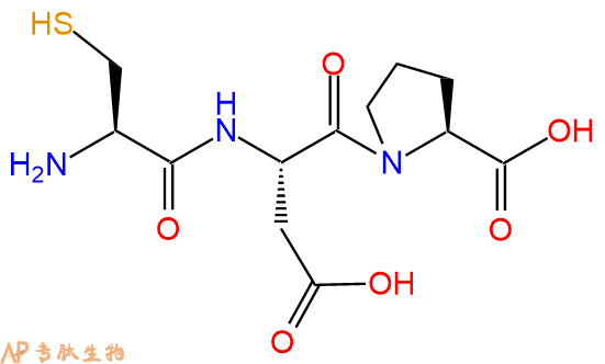专肽生物产品三肽Cys-Asp-Pro