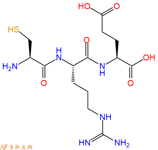 专肽生物产品三肽Cys-Arg-Glu
