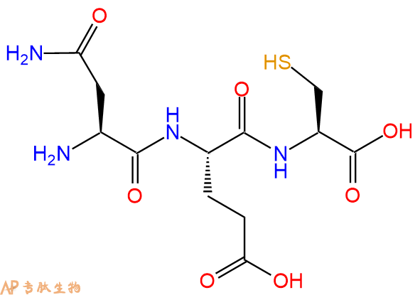专肽生物产品三肽Asn-Glu-Cys