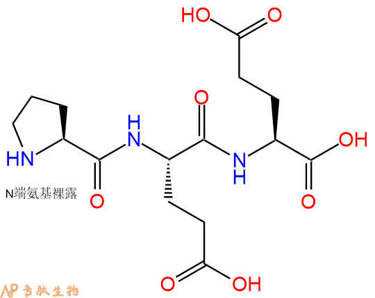 专肽生物产品三肽Pro-Glu-Glu