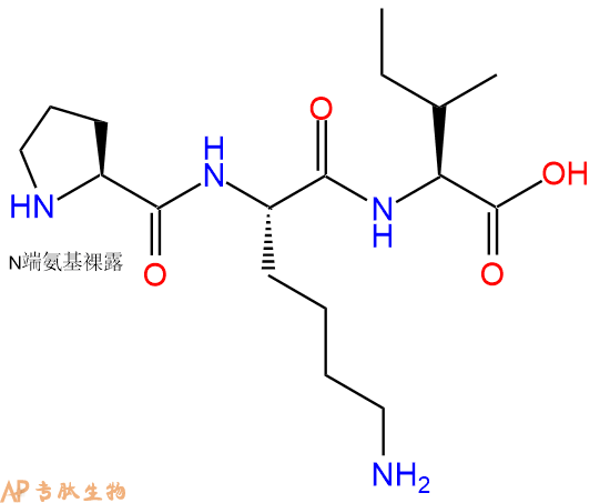专肽生物产品三肽Pro-Lys-Ile