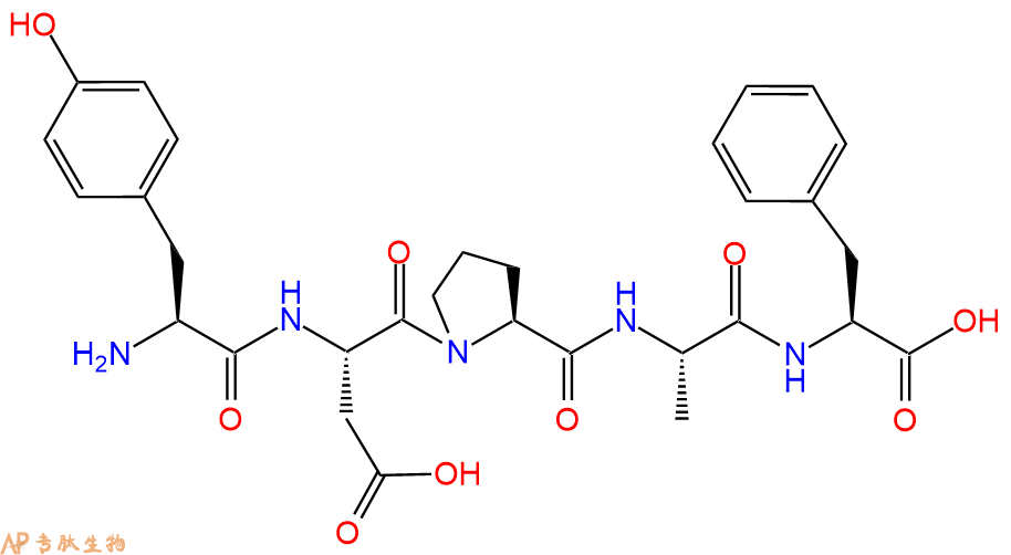 专肽生物产品五肽Tyr-Asp-Pro-Ala-Phe302787-89-9