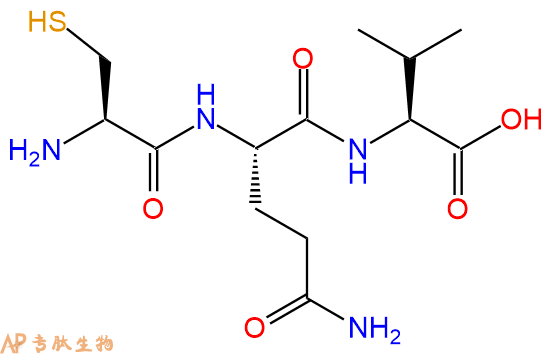 专肽生物产品三肽Cys-Gln-Val