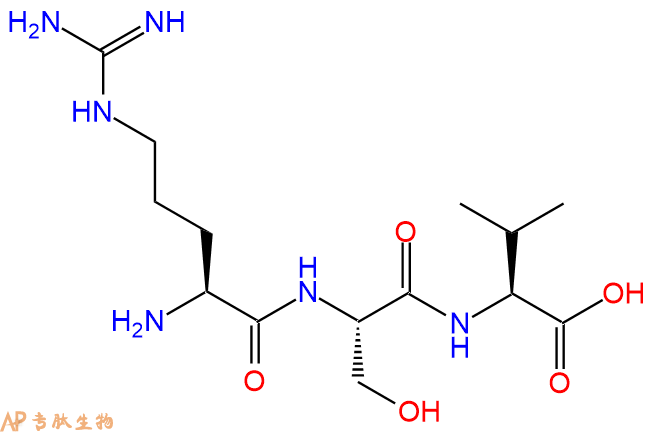 专肽生物产品三肽Arg-Ser-Val