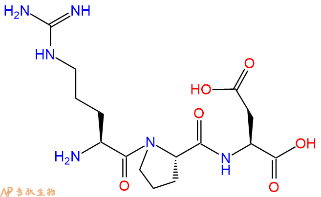 专肽生物产品三肽Arg-Pro-Asp