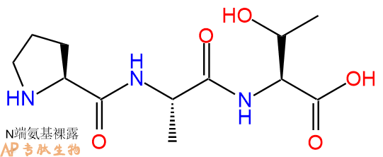 专肽生物产品三肽Pro-Ala-Thr