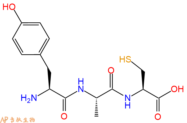 专肽生物产品三肽Tyr-Ala-Cys
