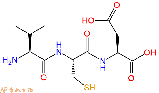 专肽生物产品三肽Val-Cys-Asp
