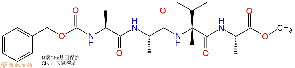 专肽生物产品四肽Cbz-Ala-Ala-Val(αMe)-Ala-甲酯化281669-23-6