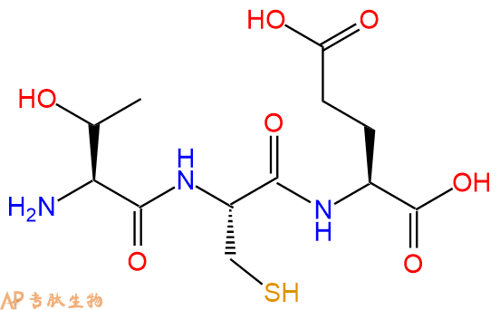 专肽生物产品三肽Thr-Cys-Glu