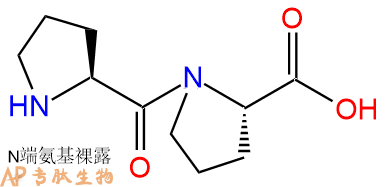 专肽生物产品H-Pro-Pro-OH · HCl76932-06-4