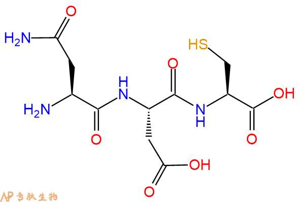 专肽生物产品三肽Asn-Asp-Cys