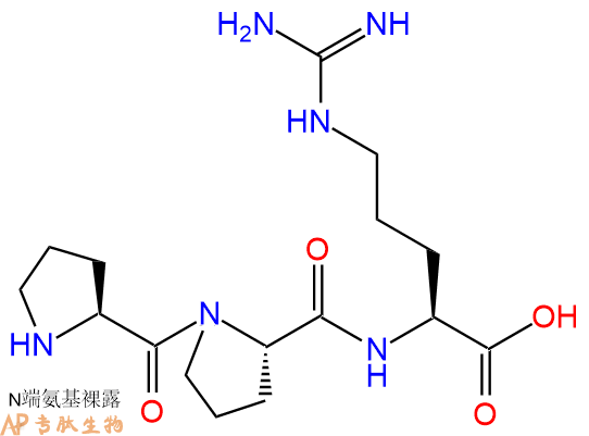专肽生物产品三肽Pro-Pro-Arg