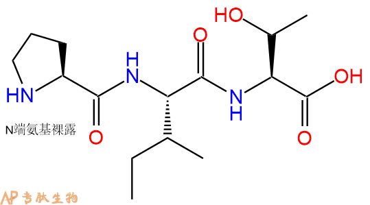 专肽生物产品三肽Pro-Ile-Thr