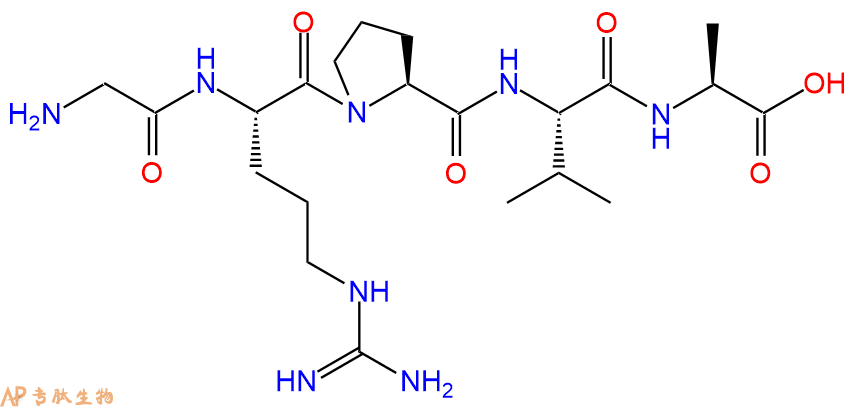 专肽生物产品五肽Gly Arg Pro Val Ala126572-24-5