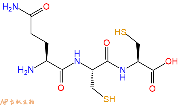 专肽生物产品三肽Gln-Cys-Cys