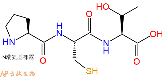 专肽生物产品三肽Pro-Cys-Thr