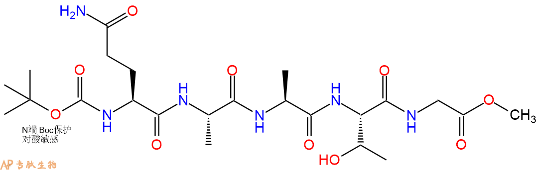 专肽生物产品五肽Boc-Glu(NH2)-Ala-Ala-Thr-Gly-甲酯化53932-01-7