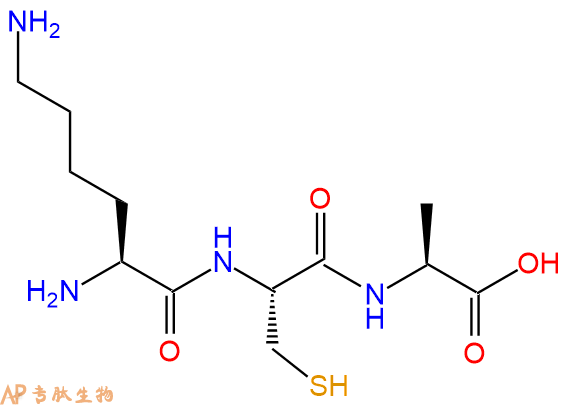 专肽生物产品三肽Lys-Cys-Ala
