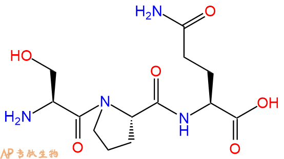 专肽生物产品三肽Ser-Pro-Gln