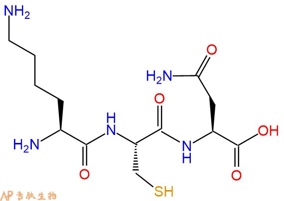 专肽生物产品三肽Lys-Cys-Asn