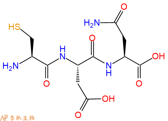 专肽生物产品三肽Cys-Asp-Asn