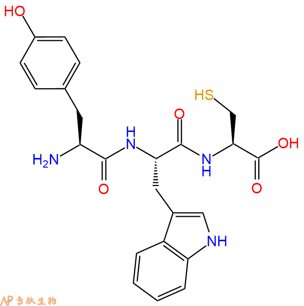 专肽生物产品三肽Tyr-Trp-Cys
