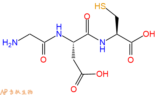 专肽生物产品三肽Gly-Asp-Cys